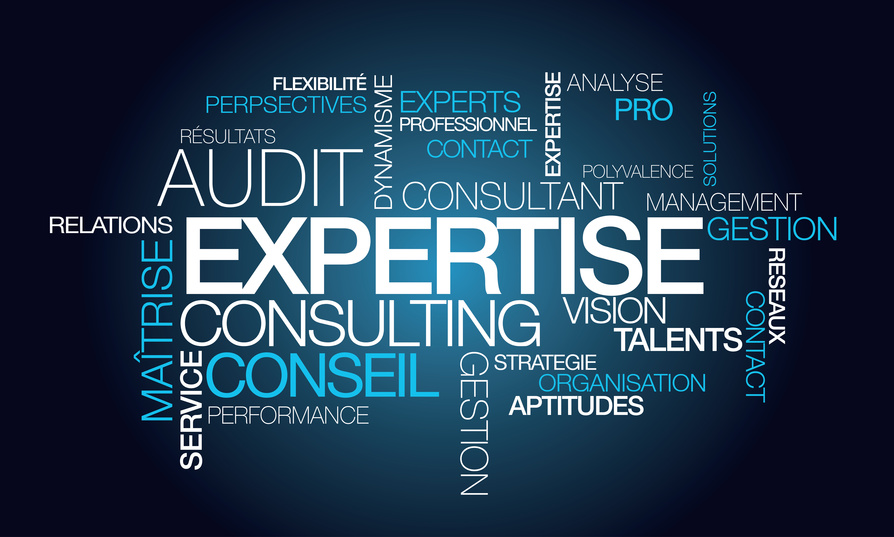 Audit Telecom : une expertise rémunérée aux résultats